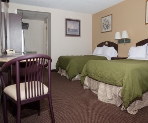 White Gables Motel - Two Double Bed Room - White Gables Motel